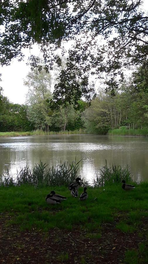 Entre Loire Et Cher Grand Gite "Cote Tilleul" Tour-en-Sologne Bagian luar foto